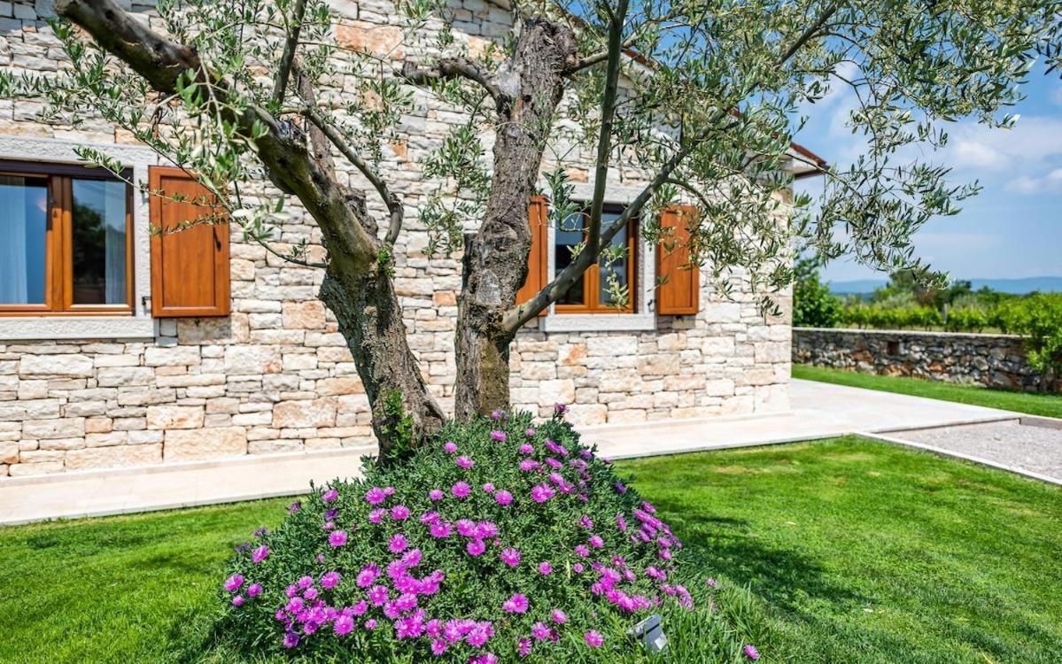Villa Oliveta By Istrialux Filipana Exterior foto
